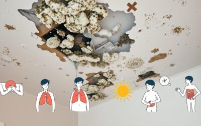 Is Mold Making You Sick? 7 Overlooked Symptoms of Mold Toxicity